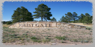 hesshomeswebsite002003.jpg